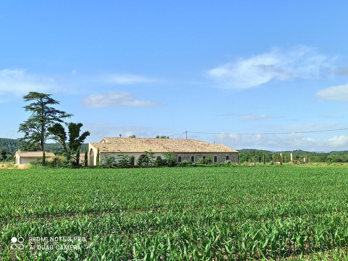 Bed and Breakfast La Boheme Charols Esterno foto