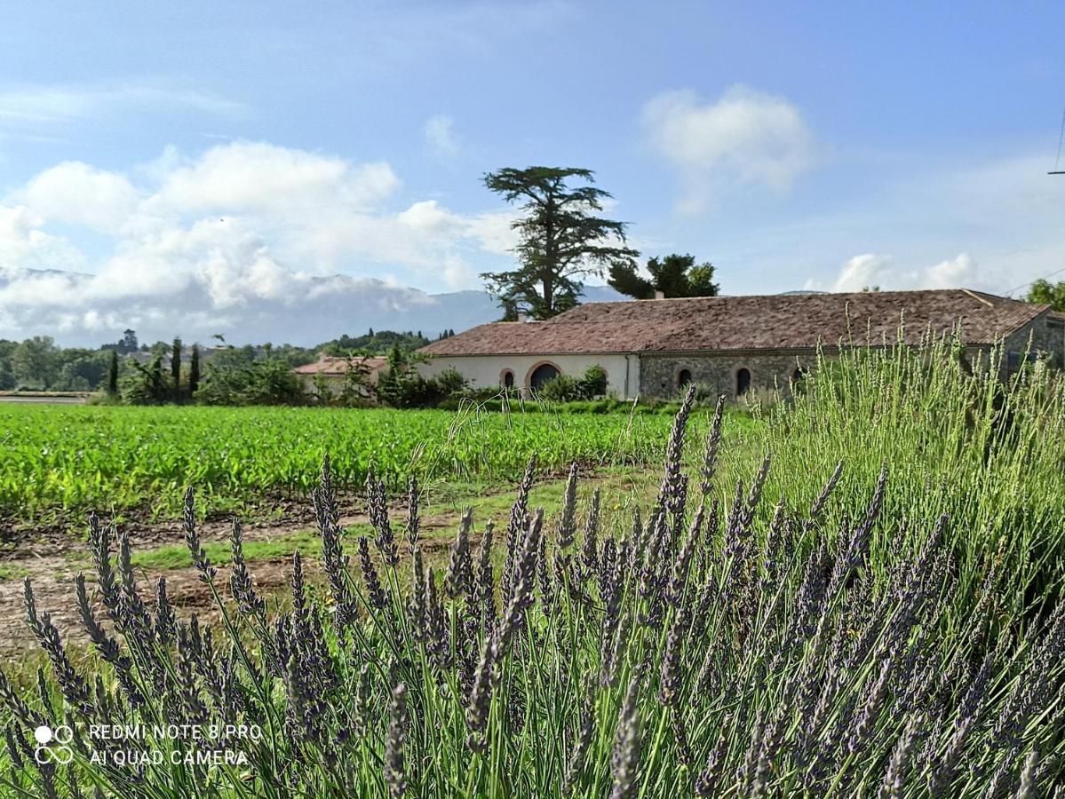 Bed and Breakfast La Boheme Charols Esterno foto