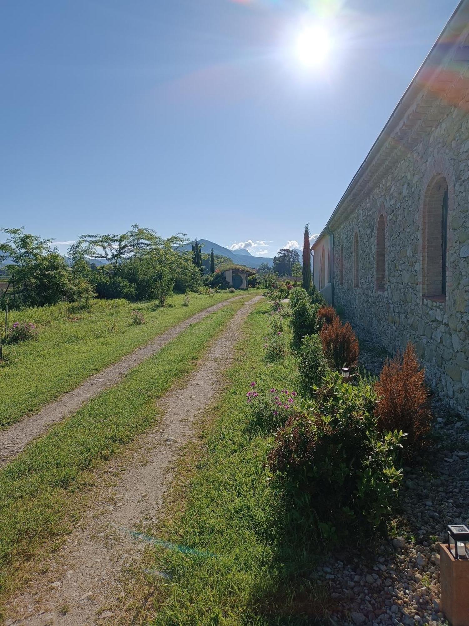 Bed and Breakfast La Boheme Charols Esterno foto