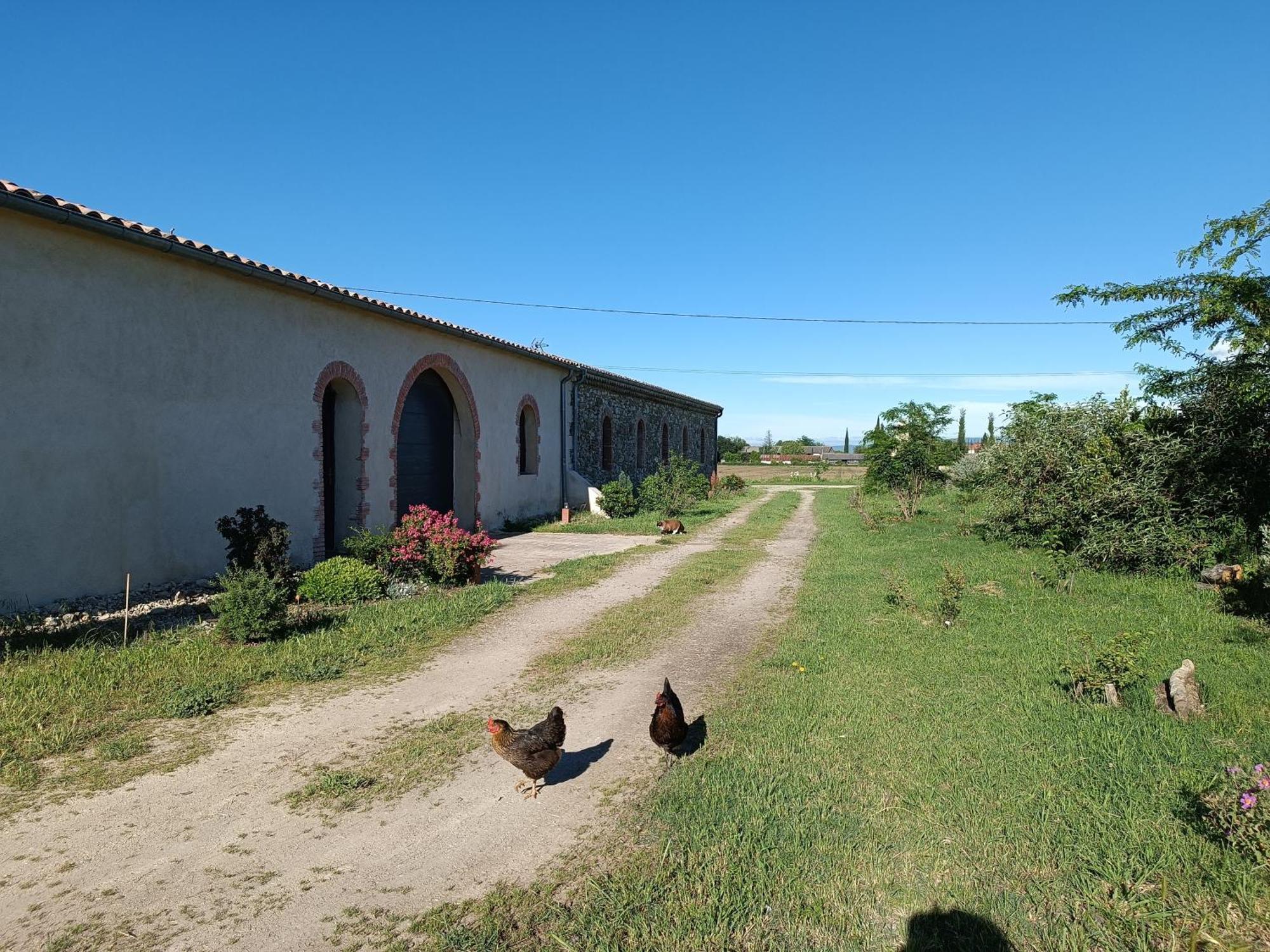Bed and Breakfast La Boheme Charols Esterno foto