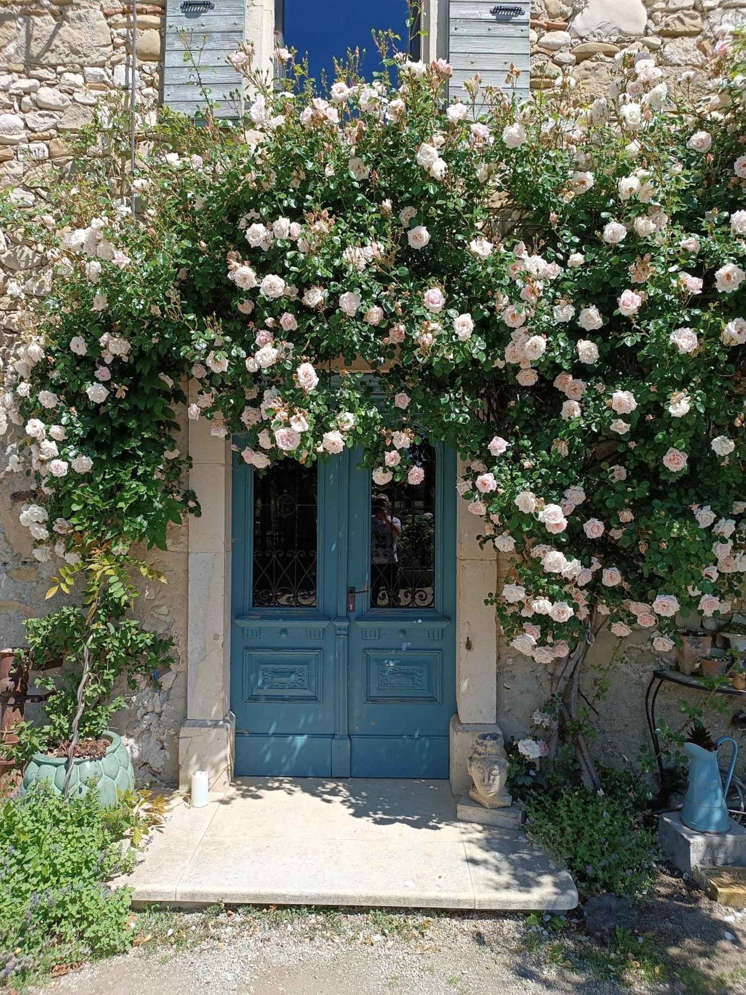 Bed and Breakfast La Boheme Charols Esterno foto