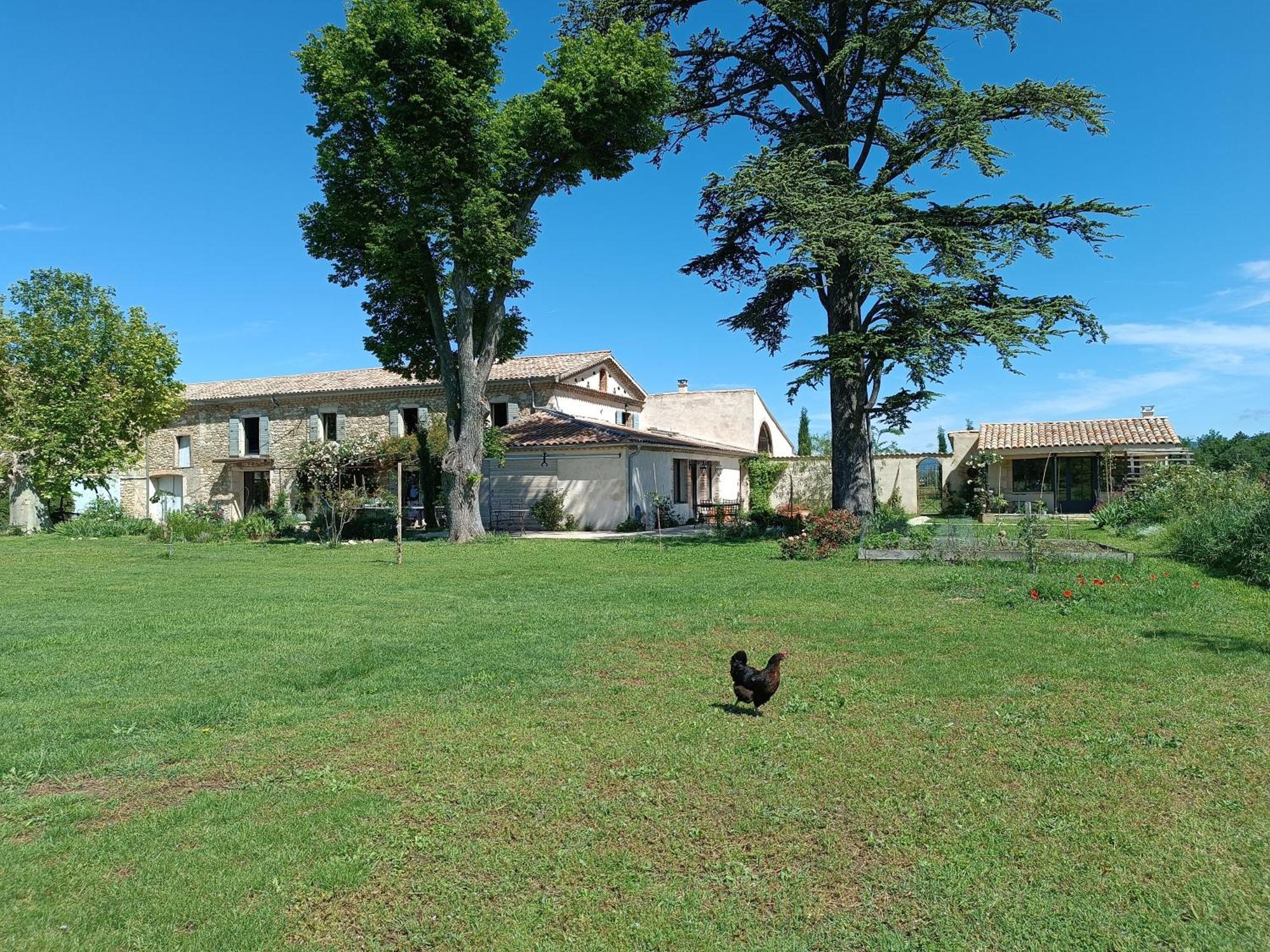 Bed and Breakfast La Boheme Charols Esterno foto