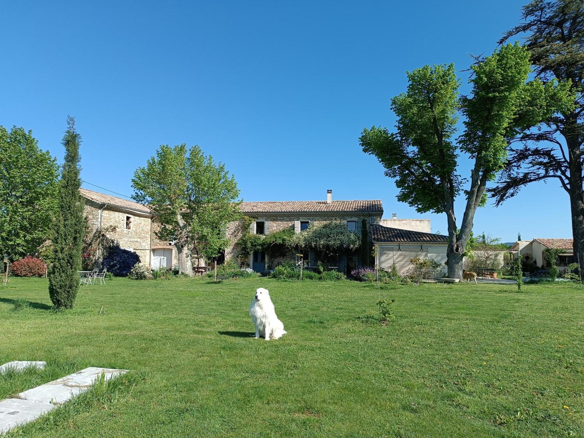 Bed and Breakfast La Boheme Charols Esterno foto